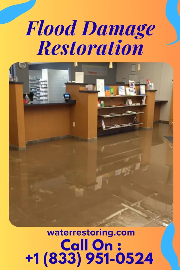 Flood Damage Restoration in Dale, IN