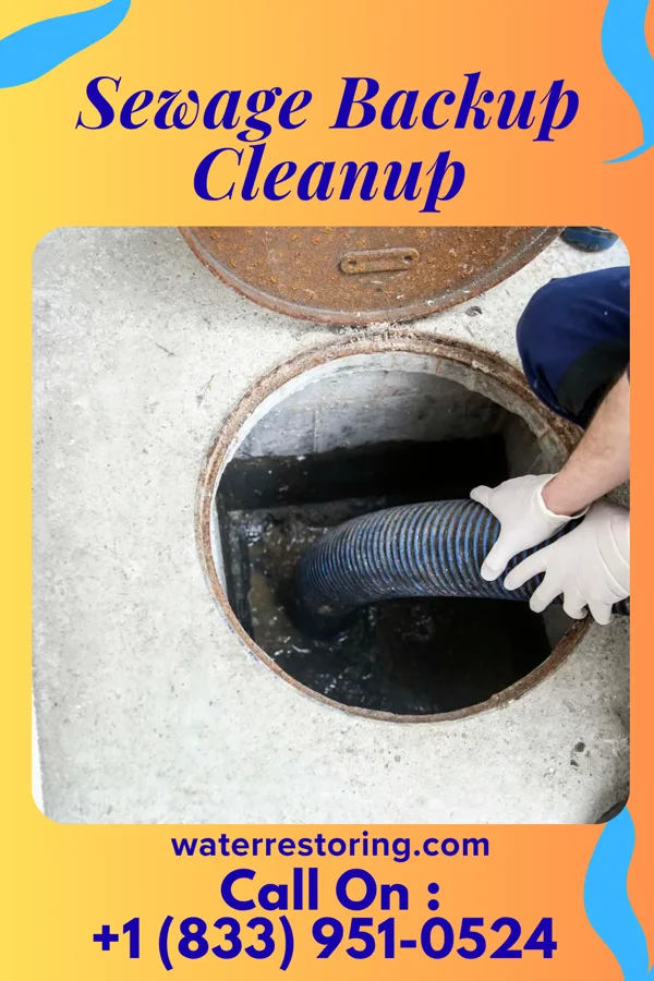 Sewage Backup Cleanup in Dale, IN